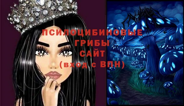 амф Абинск