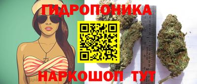 ECSTASY Абинск