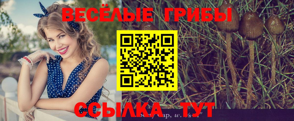 Галлюциногенные грибы мухоморы  Вход с VPN  Абинск 