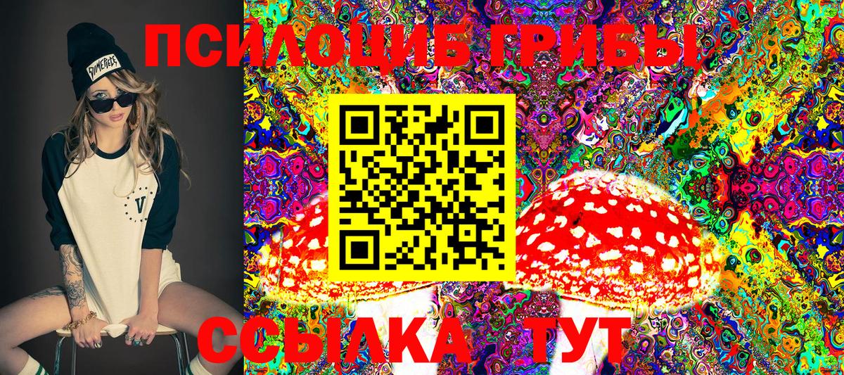 Псилоцибиновые грибы MAGIC MUSHROOMS Абинск